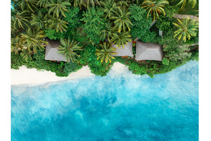 Aerial view of palms, bungalows, a Nature Photo by den-belitsky