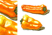 Hand-drawn Watercolor Mini Peppers, a Decorative Illustration by Margo Miller (Thumbnail 11 of 17)