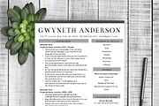 Professional Resume Template Grey, a Resume Template by Resume Template Shoppe (Thumbnail 2 of 4)