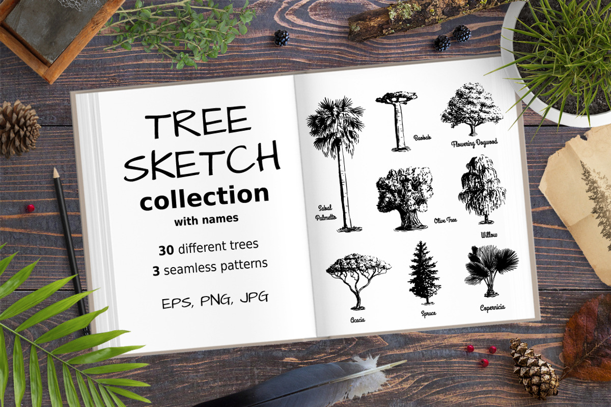 Set of Sketch Trees, an Object Graphic by Olena (Photo 1 of 3)
