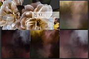 Luxe Oil Paint Floral Graphics, an Illustration by Eclectic Anthology (Thumbnail 16 of 17)
