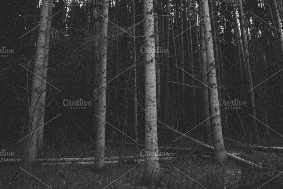 Mood collection, a Photo by Alekseyliss (Photo 11 of 21)