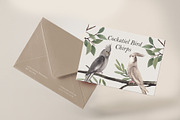 Cockatiel Birds Watercolor, an Animal Illustration by CreativeValuation (Thumbnail 11 of 15)