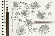 Chrysanthemum line art collection, a Decorative Illustration by DamriNa art (Thumbnail 3 of 9)