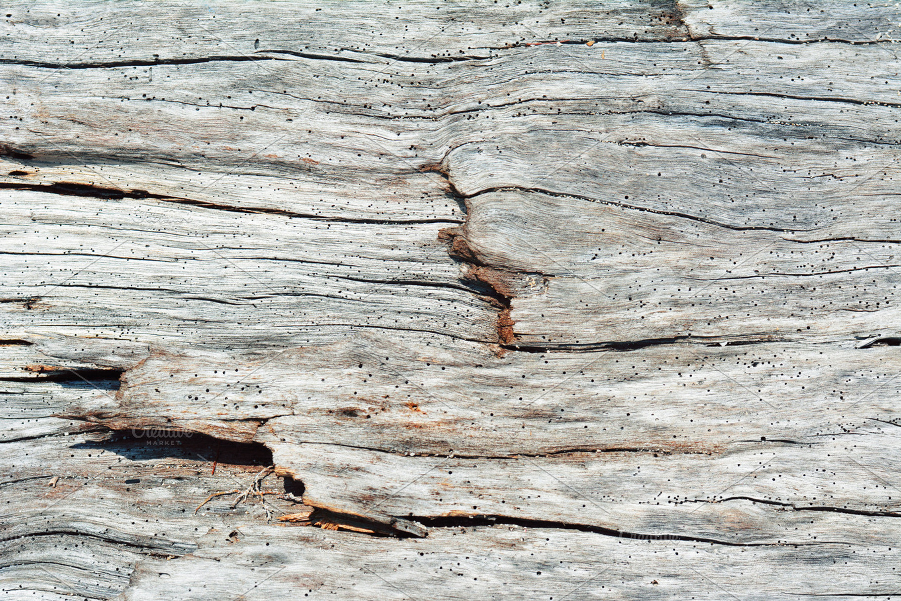 Old wood texture featuring wood, texture, and vintage