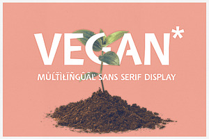 Vegan Sans Serif Display Font