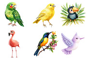 Watercolor Tropical Birds Clipart, an Illustration by Watercolor design (Thumbnail 2 of 4)