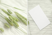 Tenderness. Wedding Mockup Photo Set, a Mockup by NataliArkushArt (Thumbnail 2 of 17)