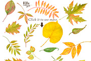 Watercolor autumn leaves clip art, an Illustration by Elly Studio (Thumbnail 2 of 3)