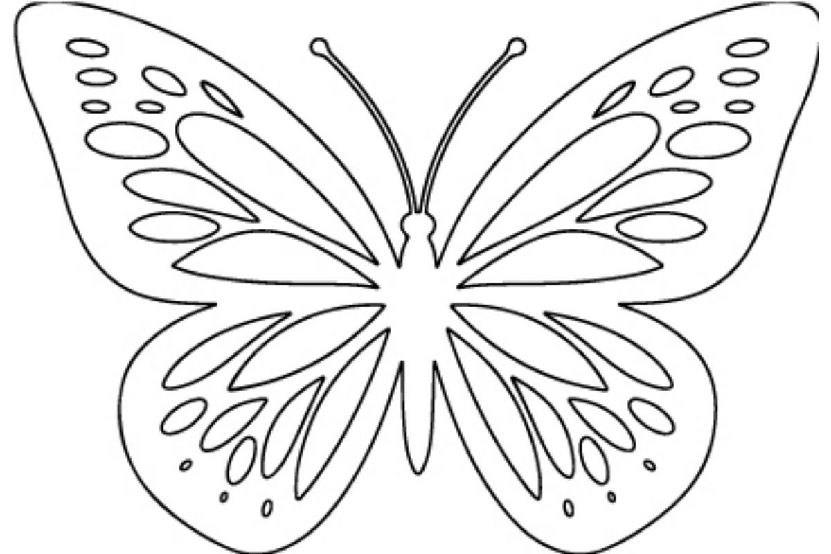Ornamental Butterfly SVG Bundle, an Object Graphic by Gfx_Store (Photo 4 of 16)