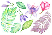 Big tropical bundle, an Illustration by artdreamer (Thumbnail 8 of 10)