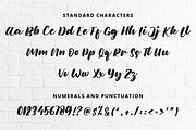 Brush Font Bundle, a Script Font by Flat Icons (Thumbnail 6 of 16)