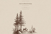 Sepia Woodland Drawings, an Animal Illustration by PeDe Designs (Thumbnail 15 of 15)