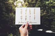Hand drawn lavender collection, a Decorative Illustration by handsketched (Thumbnail 7 of 8)