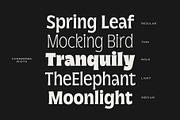 Norsy - Variable Display, a Sans Serif Font by Adam Fathony (Thumbnail 17 of 19)