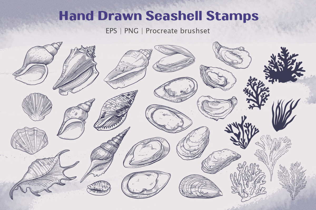 Procreate - Seashell Stamps, a Brush Add-On by ms Julia Nova (Photo 4 of 4)
