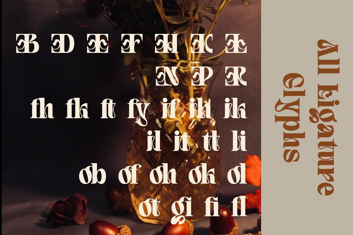 Quivert - Serif Display Font, a Serif Font by Dhabee (Photo 2 of 17)