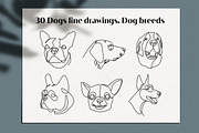 30 Dogs line drawings. Dog breeds, an Outline Icon by velychko.ua (Thumbnail 8 of 9)