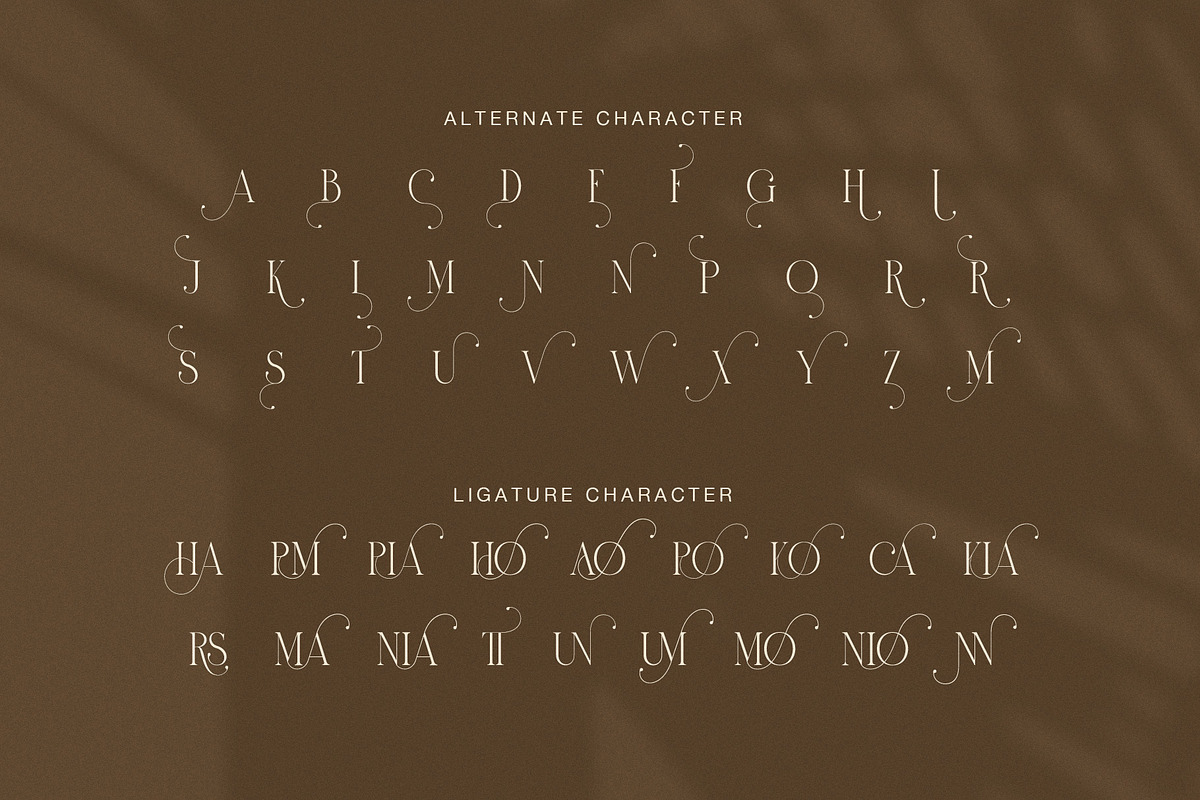 Brown Elegant Serif Display Font, a Serif Font by Graphicxell (Photo 8 of 8)