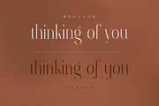 Rowan typeface - 116 styles & script, a Serif Font by VP Fonts (Thumbnail 16 of 18)