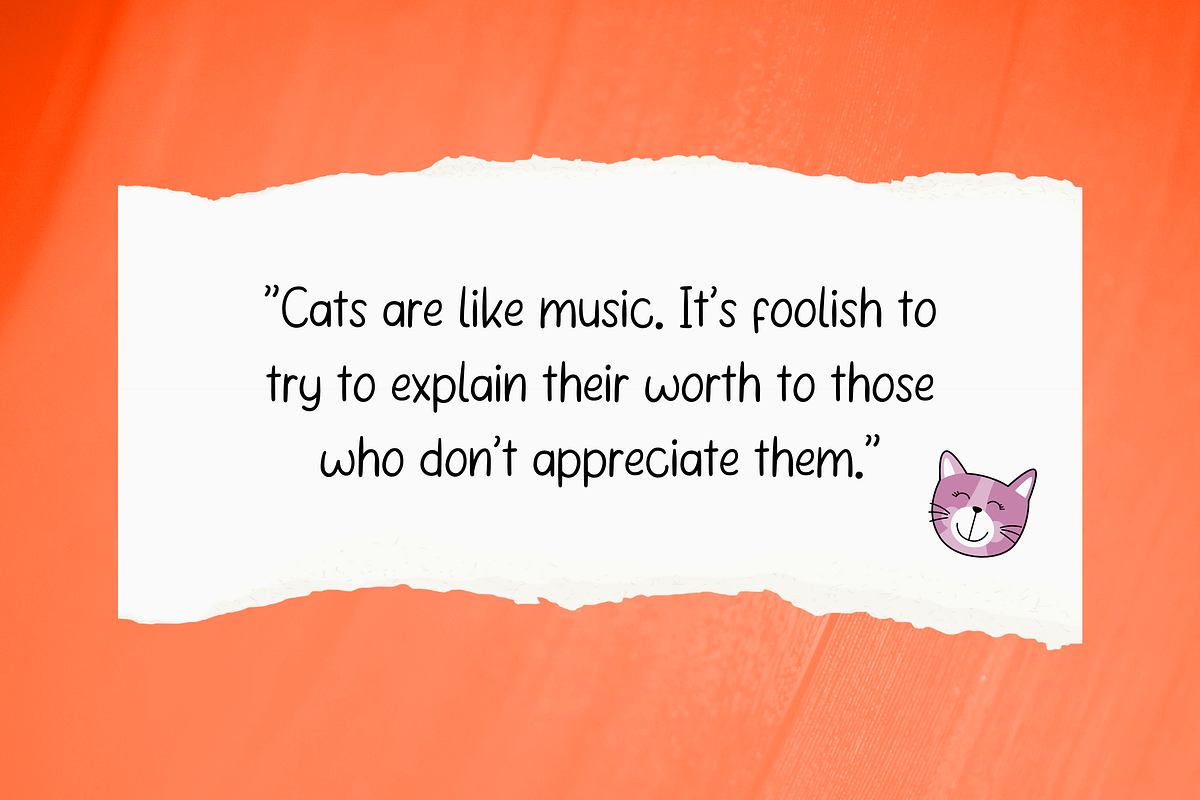 Cozy Kitten Handwriting Font, a Handwritten Font by Suntype | Sunshine Std (Photo 5 of 11)