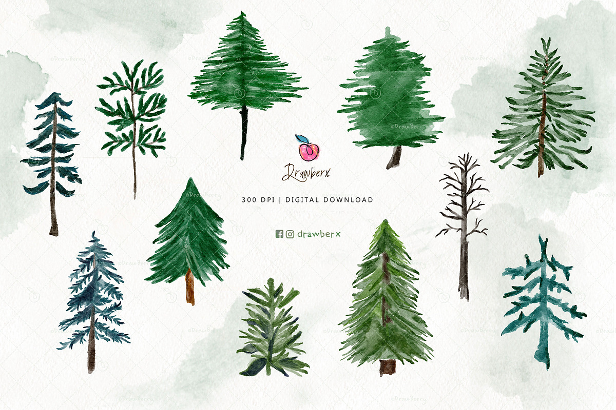Pine Tree Clipart, Watercolor 109, an Illustration by Drawberx (Photo 6 of 9)