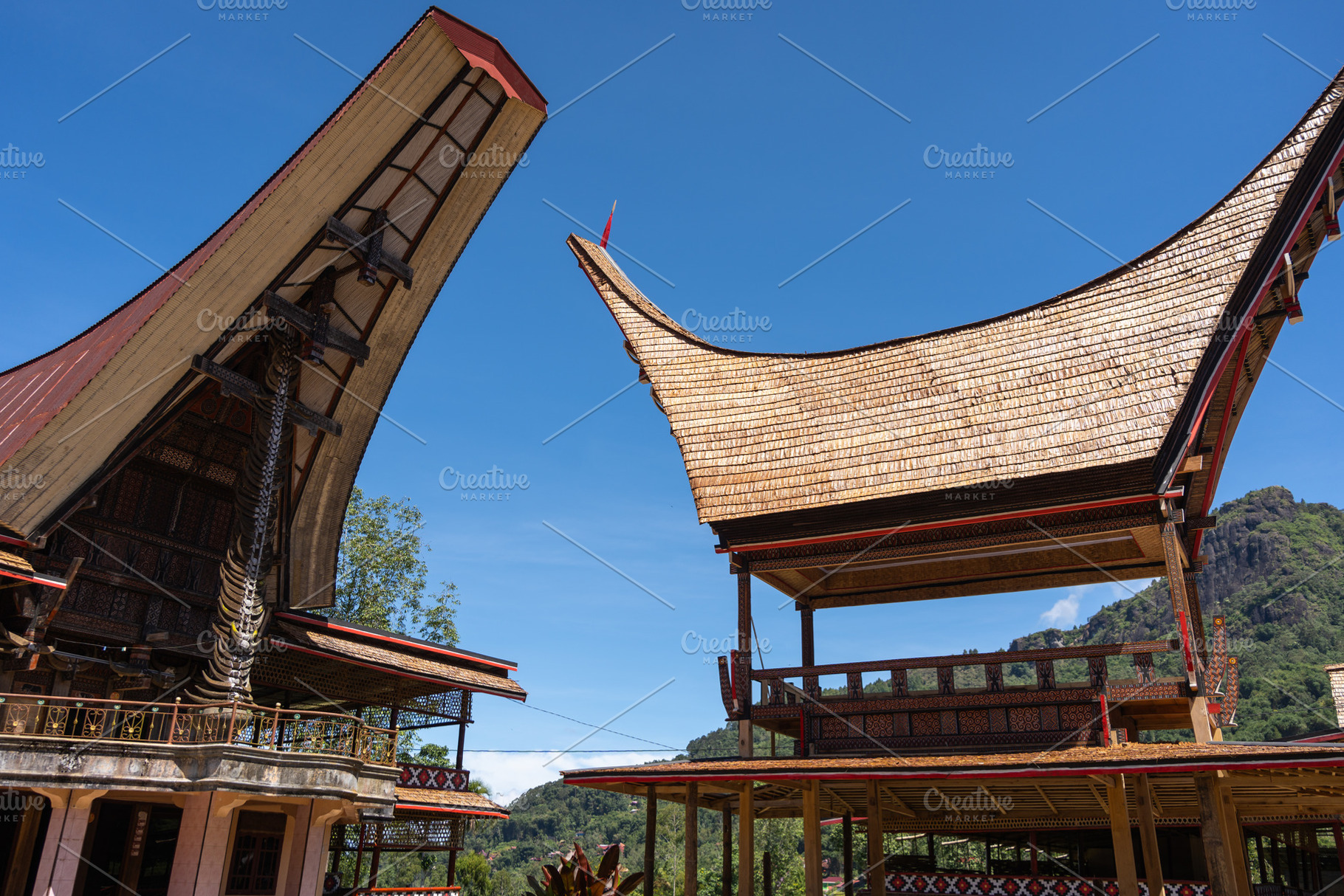 Traditional Toraja village and tongkonan houses in Sulawesi, Ind, an Architecture Photo by GoodGoods
