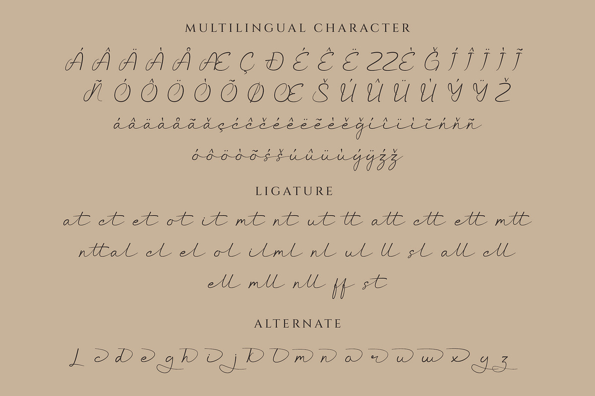 Vestica signature script font, a Script Font by Bilahstudio (Photo 3 of 12)