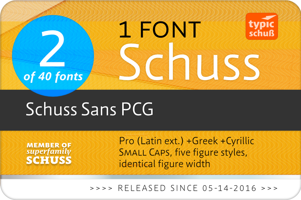 SchussSansPCG No.02 (1 Font) preview 3