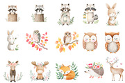 Watercolor Woodland Animals Clipart, an Illustration by Designworld (Thumbnail 4 of 5)