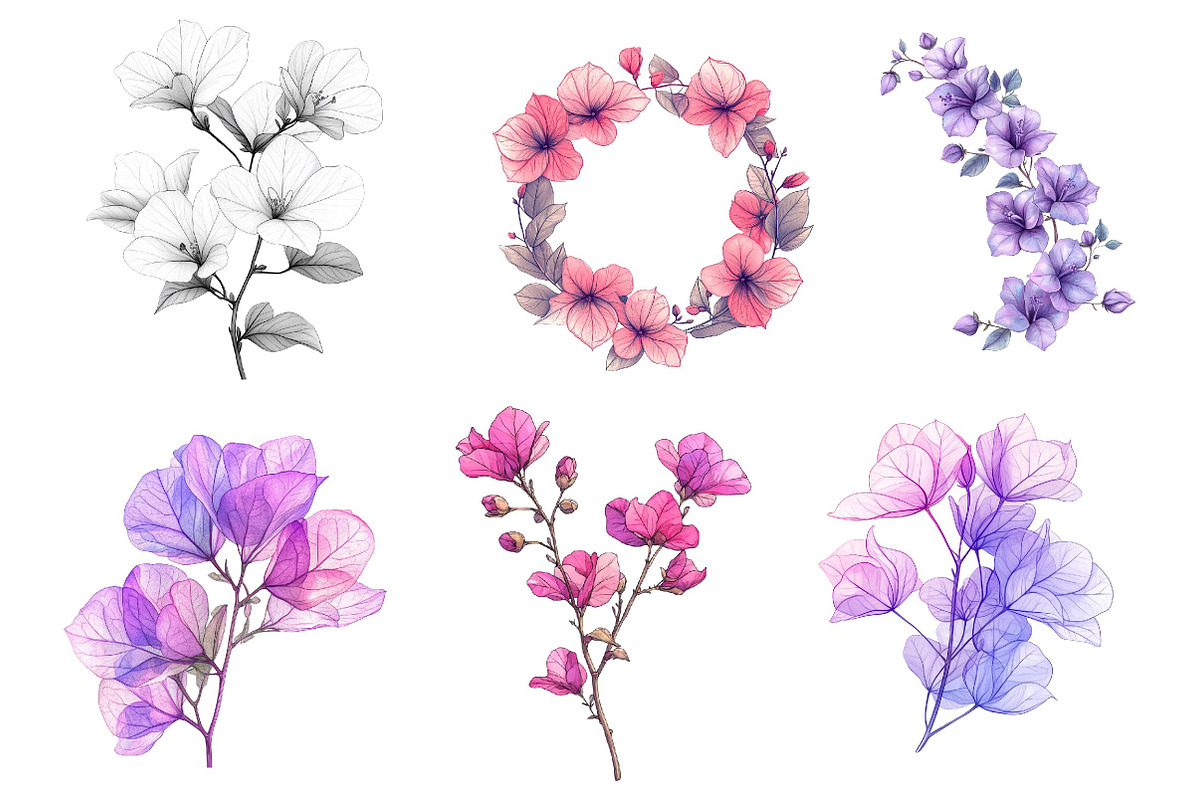 Bougainvillea Flower Clipart Bundle, an Illustration by Dream Creation (Photo 5 of 6)