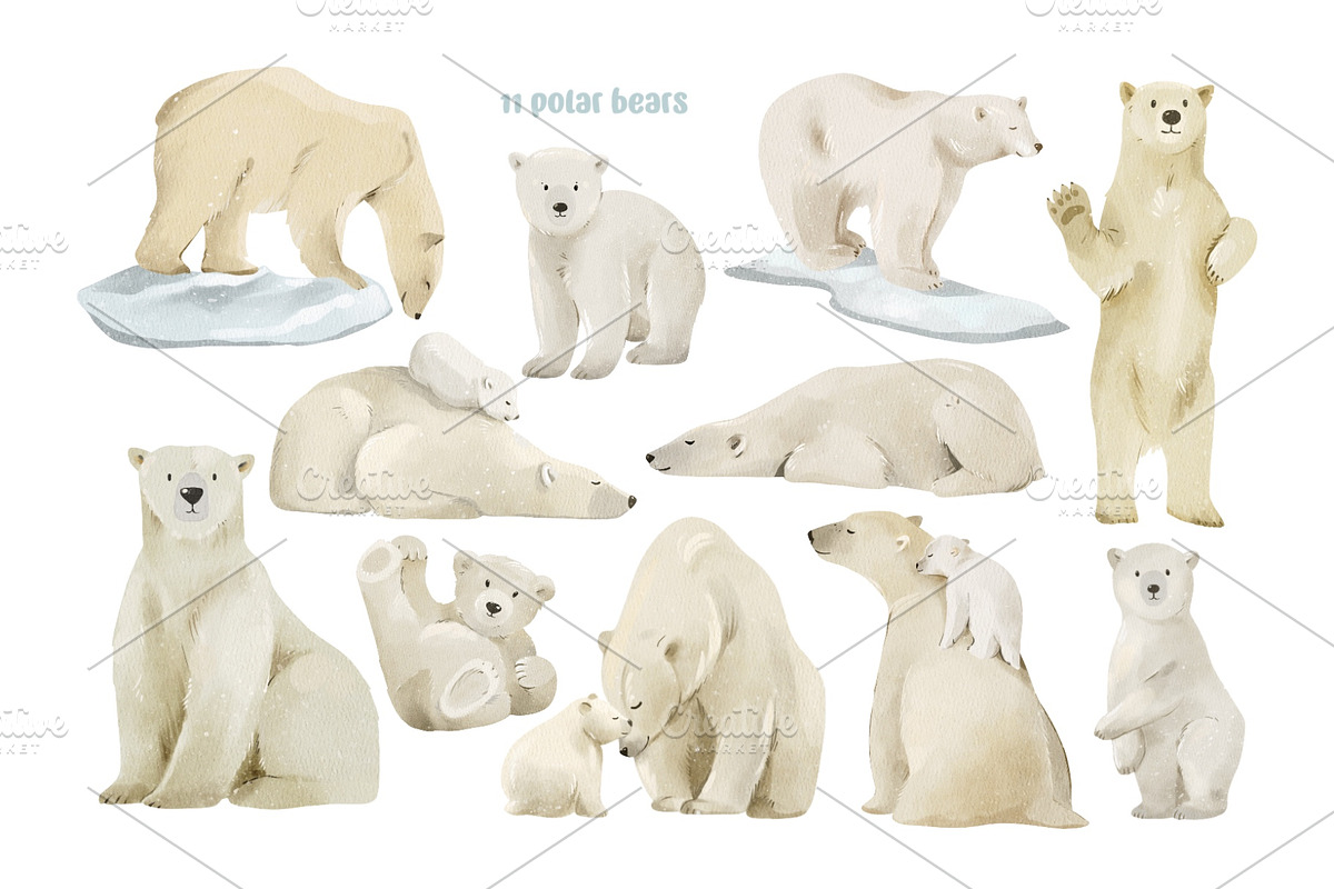 Watercolor Polar Bears Clipart, an Object Graphic by ArtGiftsStudio (Photo 2 of 5)