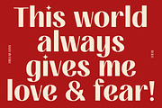 FIBULAR SANS - Variable Display Type, a Sans Serif Font by Artflorara (Thumbnail 12 of 23)