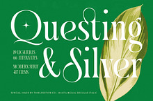 Questing Silver Modern Serif
