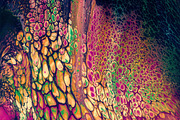 Cell Paint Bundle, a Texture Graphic by Chroma Supply (Thumbnail 12 of 23)