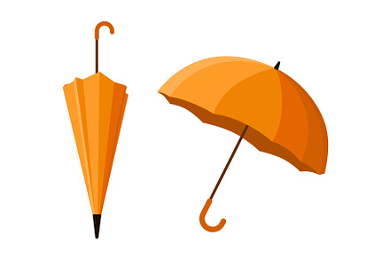 Vector illustration of two orange