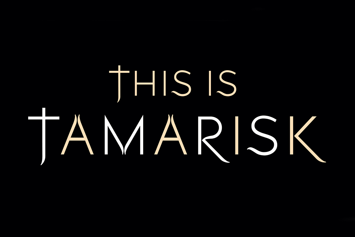 Tamarisk. Stunning serif/sans font, a Sans Serif Font by LostandFoundry (Photo 1 of 6)