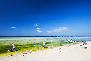 Cleaning the beach, a Photo by saiko3p