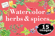 Watercolor herbs & spices collection, a Graphic by miminoshka (Thumbnail 1 of 9)