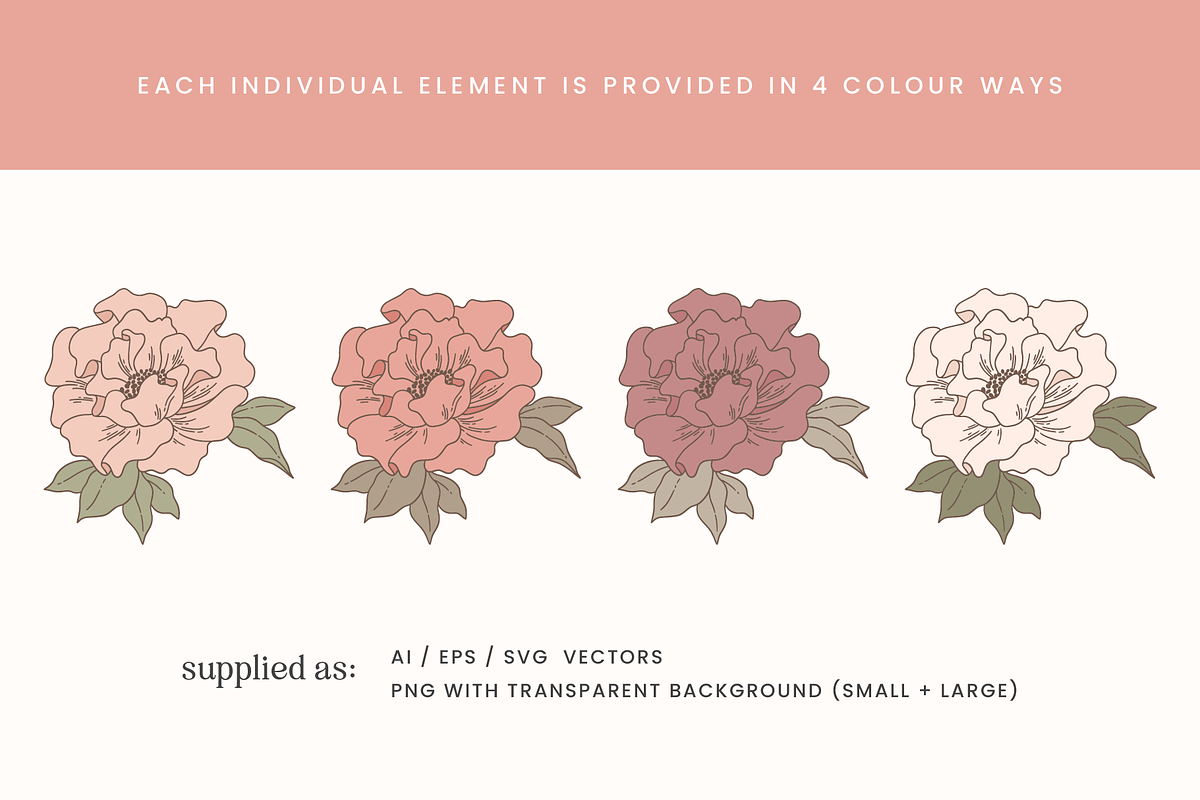 Blush Floral Vector Illustrations, a Decorative Illustration by Emma Webb Studio (Photo 5 of 12)