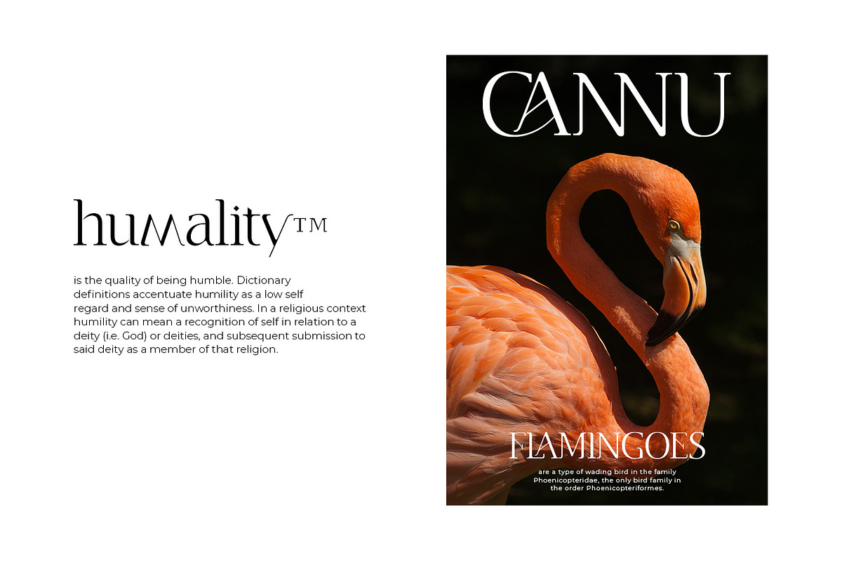 CANNU, a Serif Font by DYSA Studio (Photo 6 of 13)