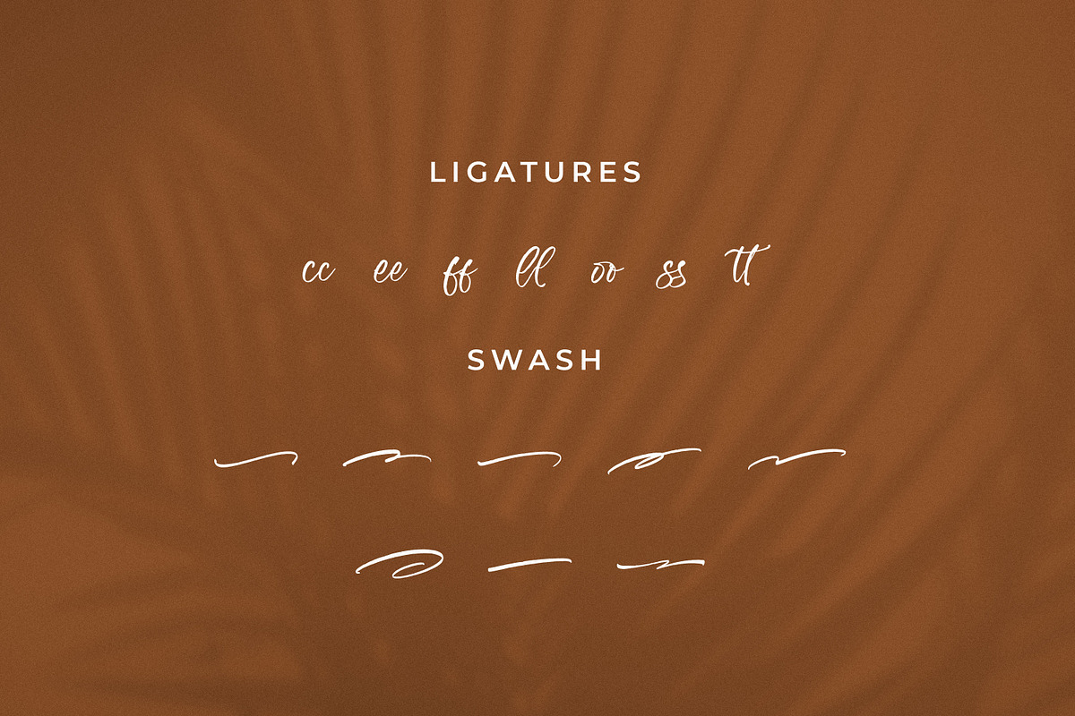 Zeyatte Kareety, a Script Font by Integritype Studio (Photo 11 of 15)
