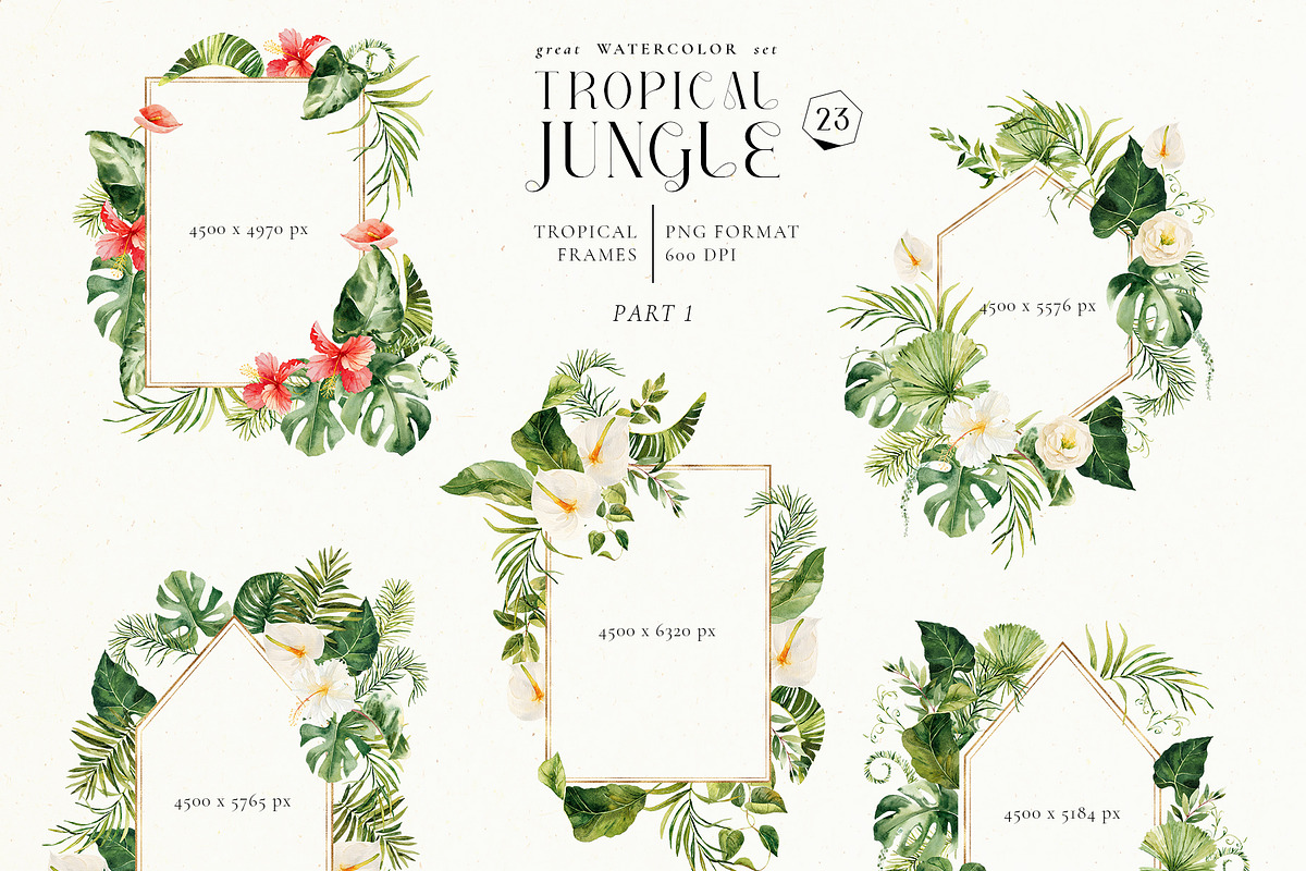 Tropical jungle - watercolor set, a Decorative Illustration by Pamyatka Shop (Photo 12 of 27)