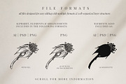 rose | botanical illustrations, an Illustration by Sophia J Caldwell (Thumbnail 20 of 23)