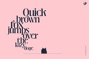 Pretty Boy - Decorative Serif family, a Serif Font by creativemedialab (Thumbnail 6 of 21)