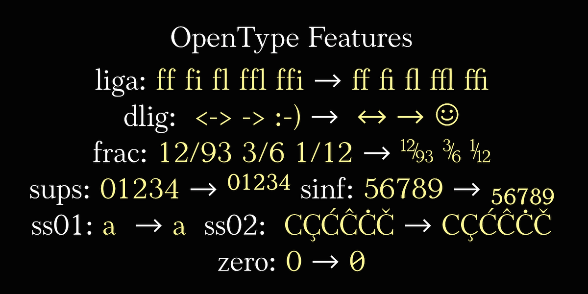 JabcedHy, a Serif Font by Ingrimayne Type (Photo 5 of 10)