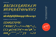Halfway Ferald Bold Calligraphy Font, a Script Font by stylishtype.co (Thumbnail 18 of 20)