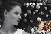 Linchrome Black & White Actions, an Action Add-On by skybluecreative (Thumbnail 8 of 11)
