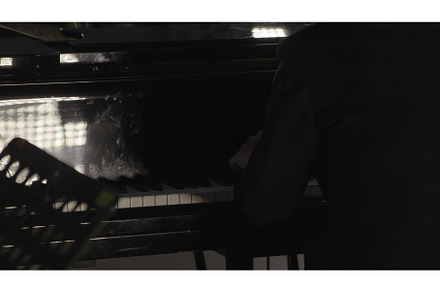 A musician performs skillfully at a, an Arts & Entertainment Photo by Media Whale Stock