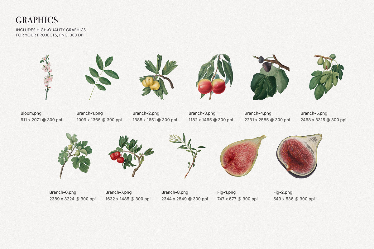 Botanical Floral and Fruits Pattern, a Pattern Graphic by likorbut (Photo 7 of 9)